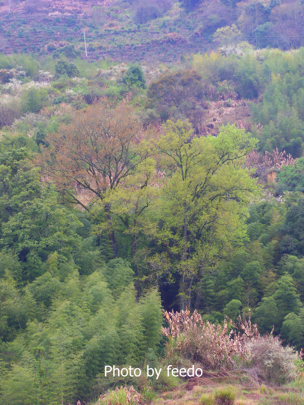100_3804-001.JPG